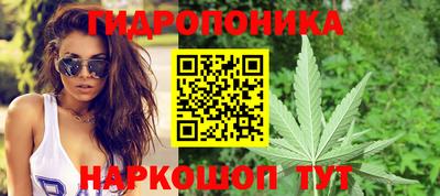 соль ск Кандалакша