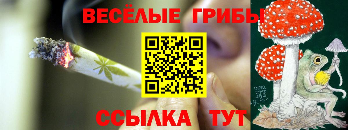 Каменск-Уральский  Галлюциногенные грибы ЛСД  Вход с VPN 